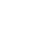 vectorline1