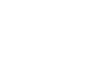 vectorline4